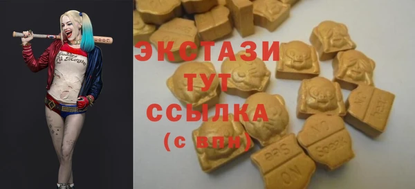 шишки Белокуриха