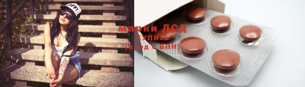 шишки Белокуриха