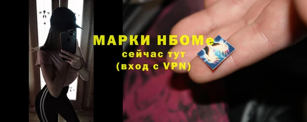 шишки Белокуриха