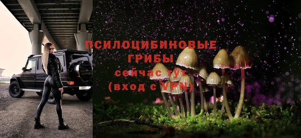 шишки Белокуриха