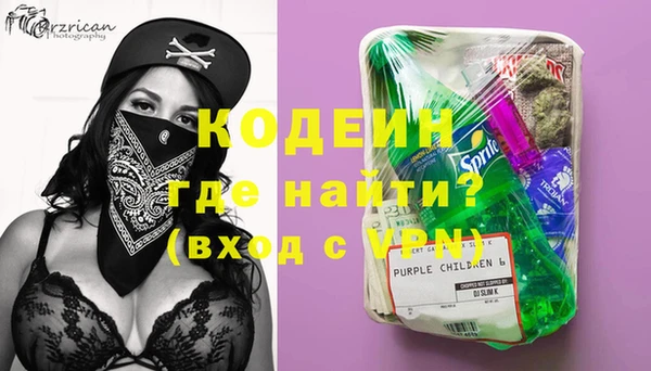 шишки Белокуриха