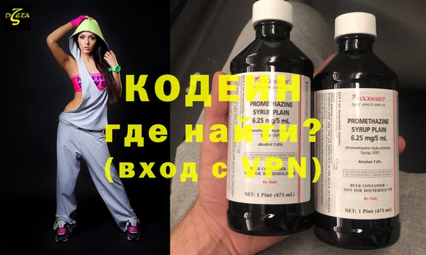 шишки Белокуриха