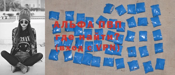 шишки Белокуриха