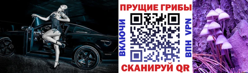 Купить закладки  Аткарск  Галлюциногенные грибы Psilocybine cubensis 